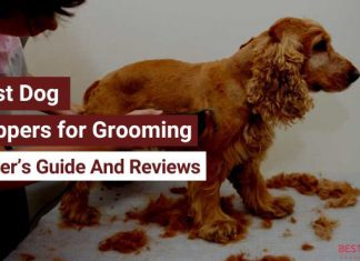 Best Dog Clippers for Grooming