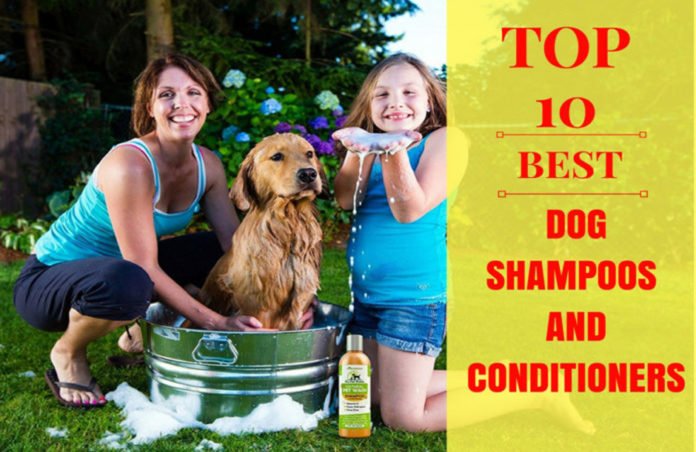 best dog shampoos andb conditioners