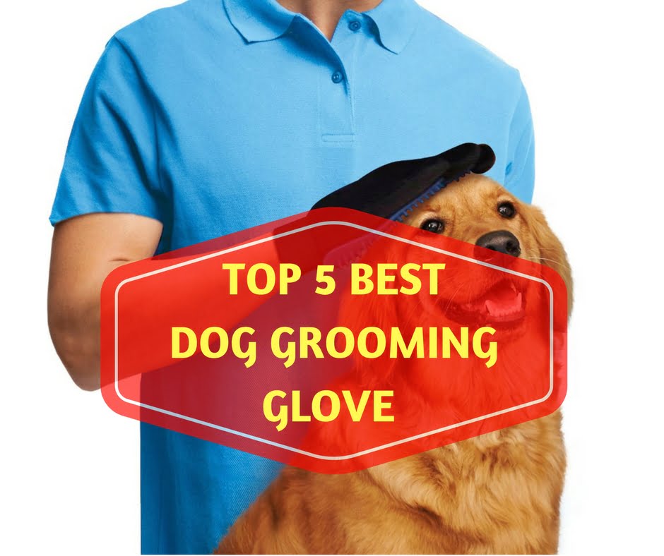 best dog grooming mitt