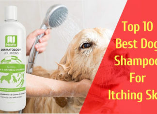 Best Dog Shampoo For Itching Skin