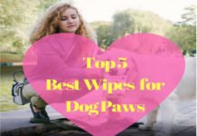 Best Wipes for Dog Paws