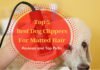 Best Dog Clippers For Matted Hair