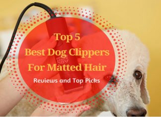 Best Dog Clippers For Matted Hair