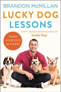 Train Your Dog in 7 Days 