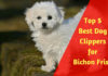 Best Dog Clippers for Bichon Frise