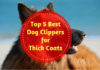 Best Dog Clippers for Thick Coats