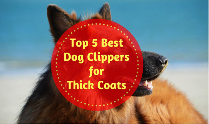 Best Dog Clippers for Thick Coats