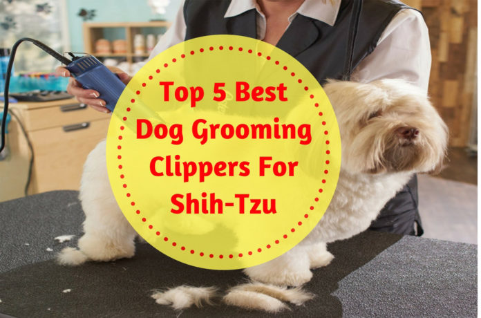 Best Dog Grooming Clippers For Shih-Tzu