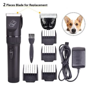 Best Dog Clippers for Labradoodles