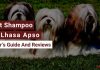 Best Shampoo For Lhasa Apso