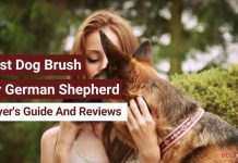 Best Dog Brush for German Shepherd