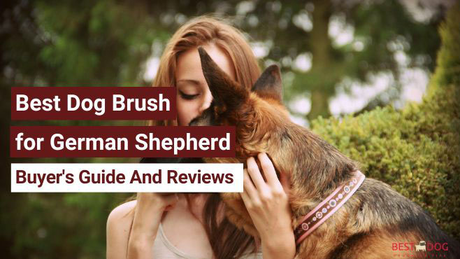 Best Dog Brush for German Shepherd