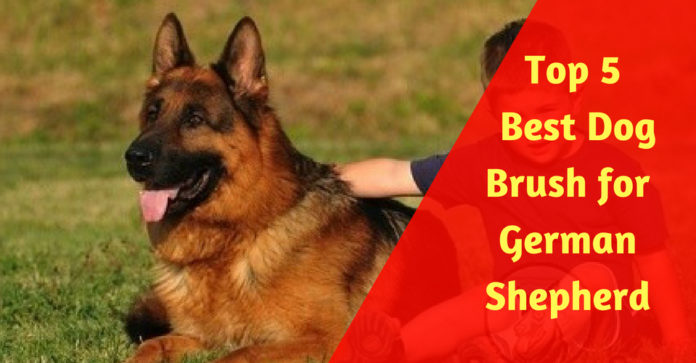 best dog brush for german shepherds