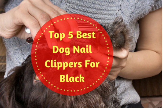 black nail clippers