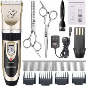 Best Trendy Dog Clippers