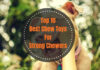 Best Chew Toys For Strong Chewers