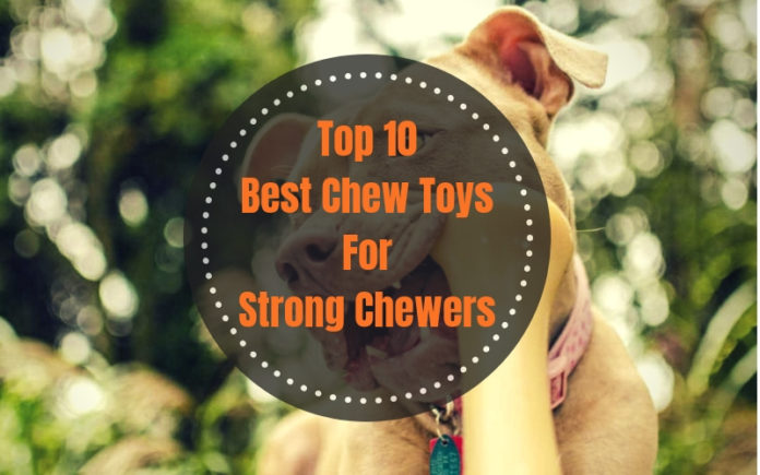 Best Chew Toys For Strong Chewers