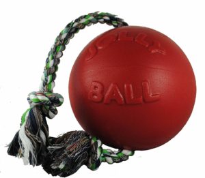 Jolly Pets Romp-n-Roll Ball