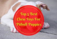 Best Chew Toys For Pitbull Puppies