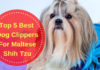 Best Dog Clippers For Maltese Shih Tzu