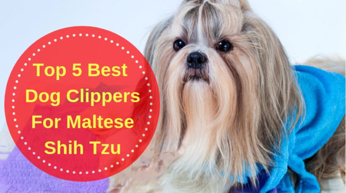 Best Dog Clippers For Maltese Shih Tzu