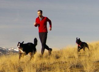 Running with German Shepherds