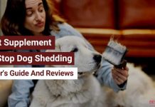 Best Supplement to Stop Dog Shedding