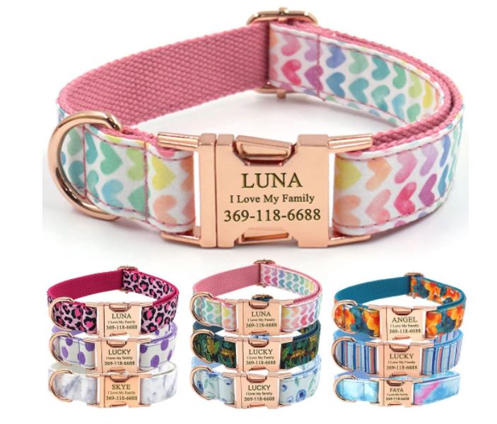 Personalized Collar for Dogs