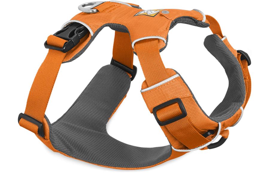 Adventure Harness for Dogs