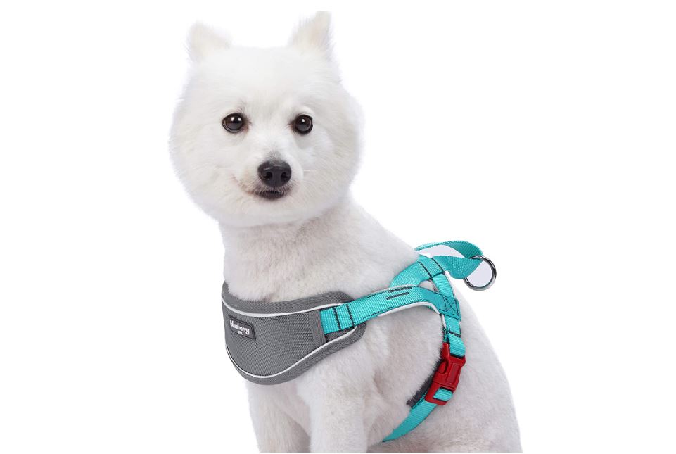  Padded Training Dog Harness