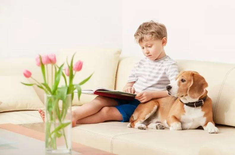 Children’s Behavior with Dogs