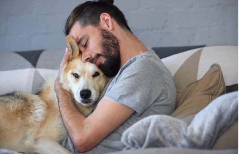 Gentle Touches To Make Calm Your Dog